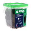 SPAX Thermal-Grip Plastic 2 in. Flat Washer 80 pk