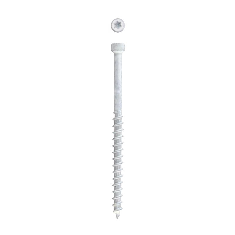 SPAX PowerTrim No. 8 Label X 2-1/2 in. L Star Trim Head Trim Screws 0.8 lb 100 pk