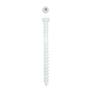 SPAX PowerTrim No. 8 Label X 2 in. L Star Trim Head Trim Screws 0.64 lb 100 pk