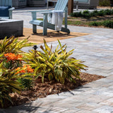 Techniseal EZ Sand Tan Polymeric Jointing Sand 35 lb