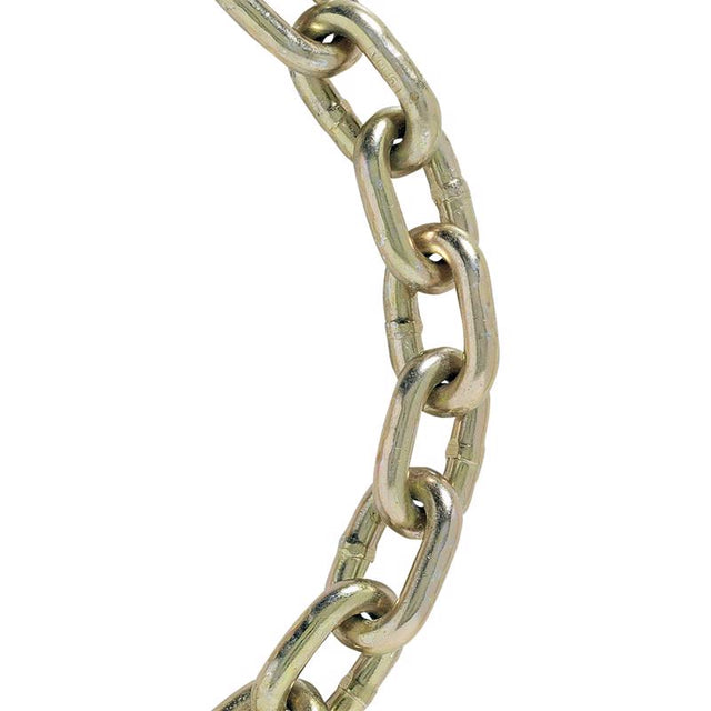 TRNSPRT CHN CS 5/16"X10'