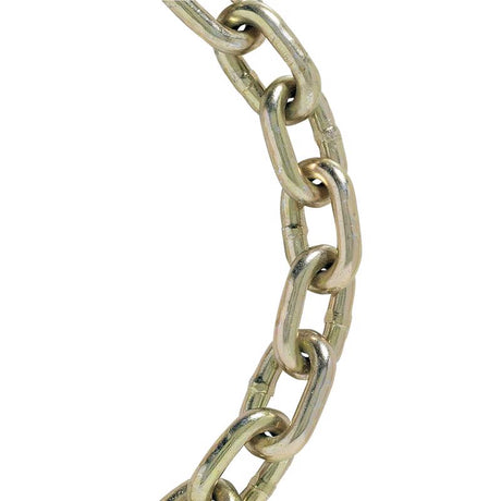 Koch Industries .3125 in. Welded Carbon Steel Transport Chain .3125 in. D X 92 ft. L