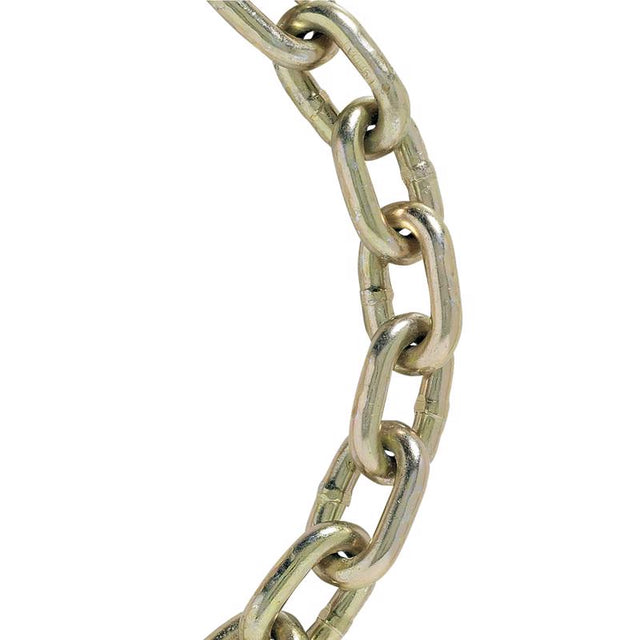 Koch Industries .3125 in. Welded Carbon Steel Transport Chain .3125 in. D X 92 ft. L