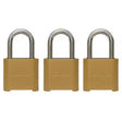 Master Lock 3.32 in. H X 2 in. W X 1.5 in. L Die-Cast Zinc 4-Digit Combination Combination Padlock