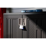 Suncast Cabinet 36 in. H X 30 in. W X 20.25 in. D Black Resin 2-Door Cabinet