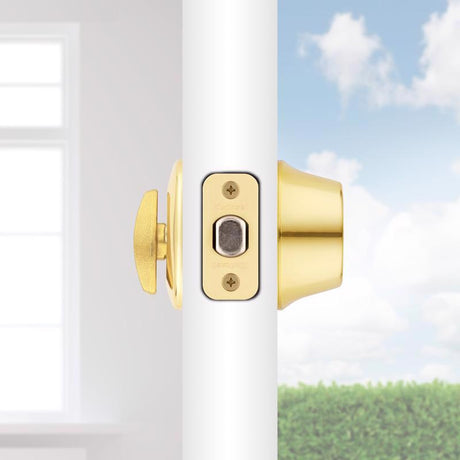 Kwikset Polished Brass Metal Deadbolt