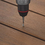 FastenMaster TrapEase No. 8 each X 2-1/2 in. L Brown Torx Ttap Trim Head Deck Screws 5 lb 350 each