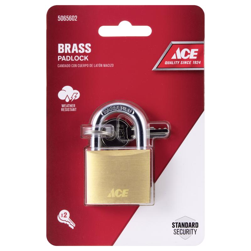Ace 1-1/4 in. H X 1-1/2 in. W X 1/2 in. L Brass Double Locking Weather-Resistant Padlock