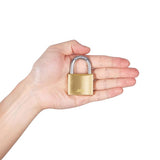 Ace 1-1/4 in. H X 1-1/2 in. W X 1/2 in. L Brass Double Locking Padlock
