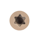 FastenMaster TrapEase No. 8 each X 2-1/2 in. L Tan Torx Ttap Button Head Composite Deck Screws 5 lb