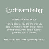 Dreambaby Gray Foam Portable Booster Seat 1 pk