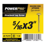PowerPro 5/16 in. X 3 in. L Star Carbon Steel Lag Screw 40 pk