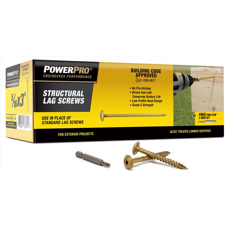 PowerPro 5/16 in. X 3 in. L Star Carbon Steel Lag Screw 40 pk