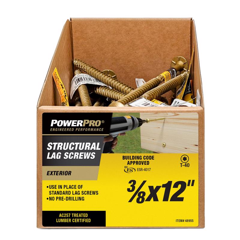 PowerPro 3/8 in. X 12 in. L Star Carbon Steel Lag Screw 1 pk
