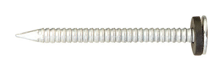 Ace 1-3/4 in. Roofing Galvanized Steel Nail Round Head 1 lb