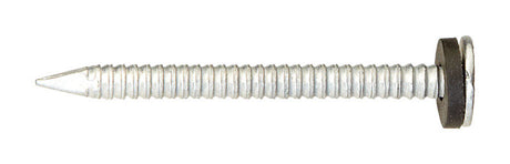 Ace 2 in. Roofing Galvanized Steel Nail Round Head 1 lb