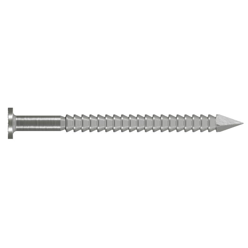 NAIL SIDING SS 8D 1LB