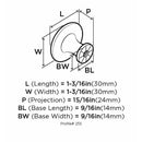 Amerock Allison Round Cabinet Knob 1-3/16 in. D 15/16 in. Polished Brass 1 pk