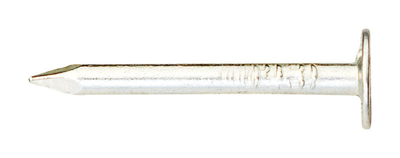 Ace 3/4 in. Roofing Electro-Galvanized Steel Nail Large Head 1 lb