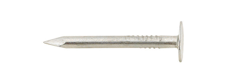 Ace 3/4 in. Roofing Electro-Galvanized Steel Nail Large Head 5 lb