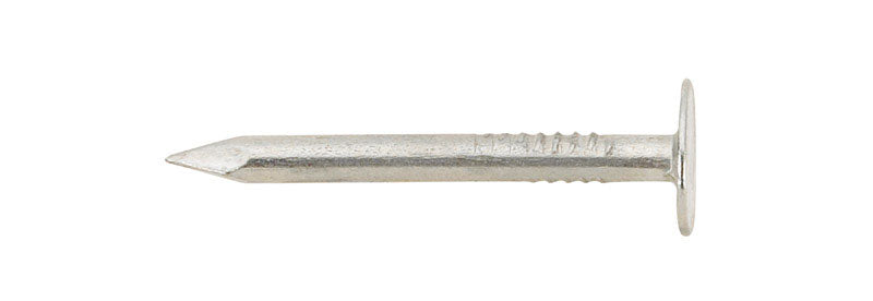 Ace 7/8 in. Roofing Electro-Galvanized Steel Nail Large Head 5 lb