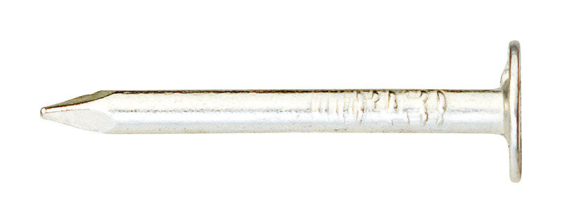 Ace 1 in. Roofing Electro-Galvanized Steel Nail Large Head 1 lb