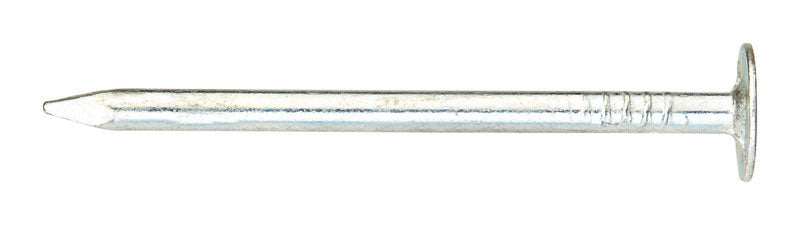 Ace 2 in. Roofing Electro-Galvanized Steel Nail Large Head 1 lb