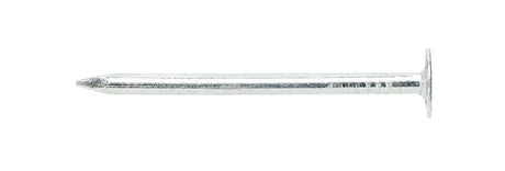 Ace 2 in. Roofing Electro-Galvanized Steel Nail Large Head 5 lb