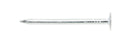 Ace 2 in. Roofing Electro-Galvanized Steel Nail Large Head 5 lb