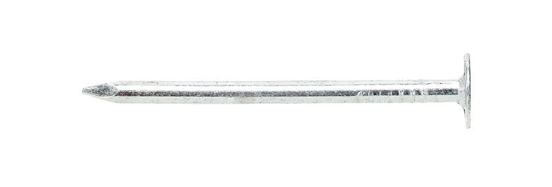 Ace 3 in. Roofing Electro-Galvanized Steel Nail Large Head 5 lb