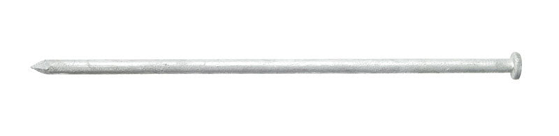 Ace 8 in. Spike Hot-Dipped Galvanized Steel Nail Diamond Head 5 lb