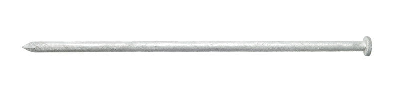 Ace 10 in. Spike Hot-Dipped Galvanized Steel Nail Diamond Head 5 lb