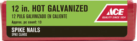 ACE SPIKE NAIL 12"HG 5#
