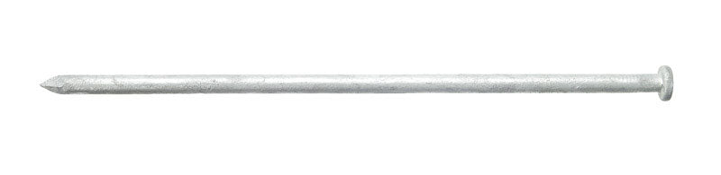 Ace 12 in. Spike Hot-Dipped Galvanized Steel Nail Diamond Head 5 lb