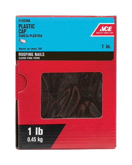 ACE ROOF CAP NAIL 1" 1#