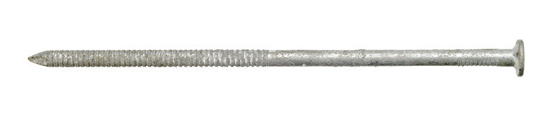 Ace 6 in. Timber Tie Hot-Dipped Galvanized Steel Nail Flat Head 5 lb