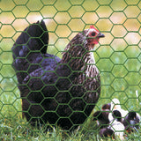 Garden Craft 36 in. H X 25 ft. L Steel Poultry Netting 1 in.