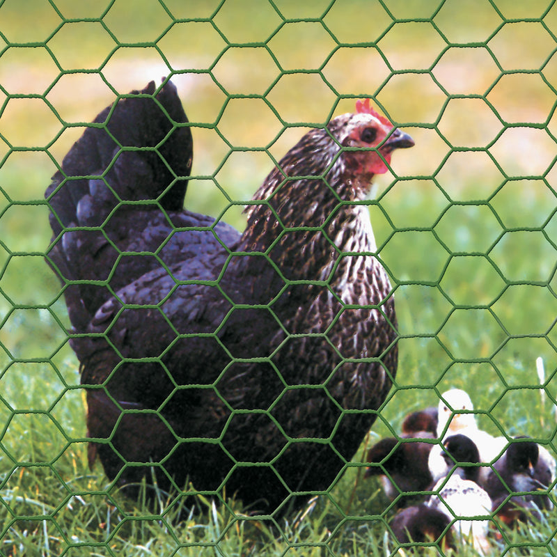 Garden Craft 36 in. H X 25 ft. L Steel Poultry Netting 1 in.