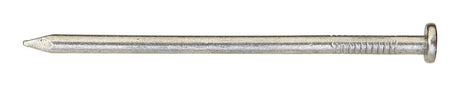 Ace 4D 1-1/2 in. Framing Bright Steel Nail Round Head 1 lb