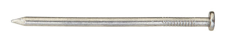 Ace 20D 4 in. Framing Bright Steel Nail Round Head 1 lb