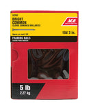 Ace 10D 3 in. Common Bright Steel Nail Round Head 5 lb