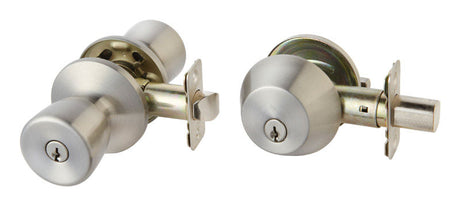 COMBO PACK TULIP  SS