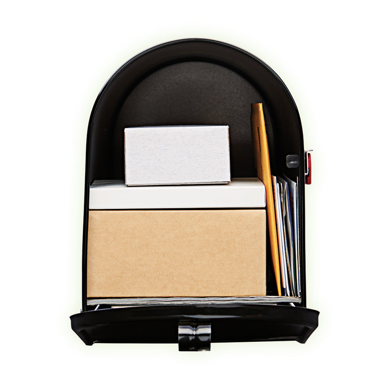 Gibraltar Mailboxes Elite Classic Galvanized Steel Post Mount Black Mailbox