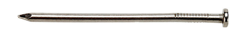 Ace 12D 3-1/4 in. Framing Bright Steel Nail Flat Head 5 lb