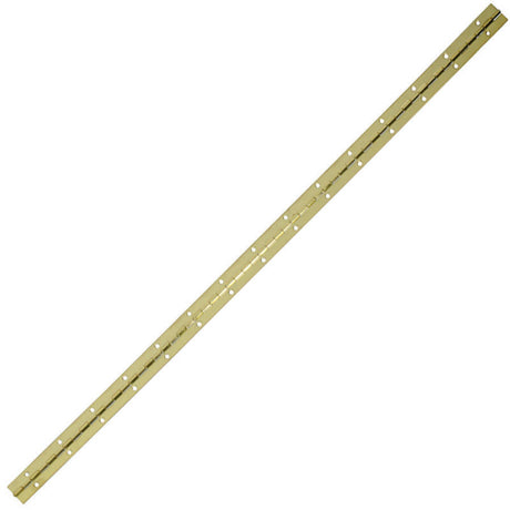 HINGE CONTINUOUS 1X30 BB