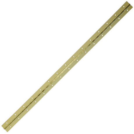 HINGE CONTIN 1-1/2X30 BB