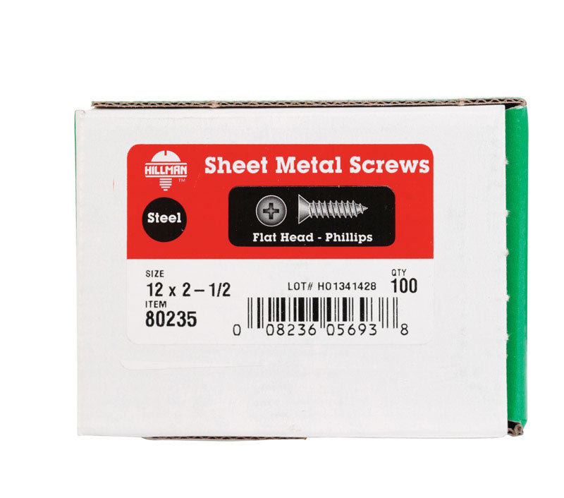 SCREW FH PH SM12X2.5 100