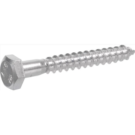 HEX LAG SCRW5/16X1.25 BX