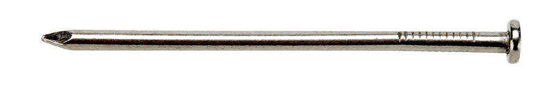 Ace 30D 4-1/2 in. Box Bright Steel Nail Flat Head 5 lb