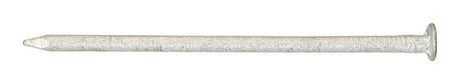 Ace 10D 3 in. Box Hot-Dipped Galvanized Steel Nail Flat Head 1 lb